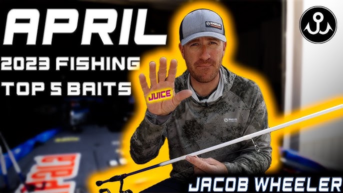 Jordon and Milliken winning baits! Texas rig weight is key? – BassBlaster