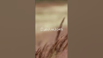 تلاوة هادئة لسورة الماعون🤍 بصوت الشيخ مشاري العفاسي "راحة نفسية ❤️"