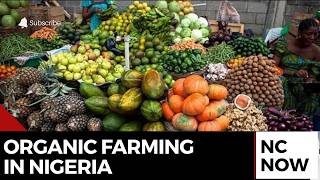 Organic Farming in Nigeria: The Push for Food Security