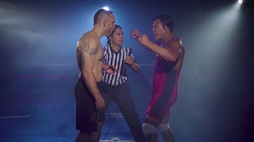 APlus/IPVideo Corporation HALO Smart Sensor Commercial