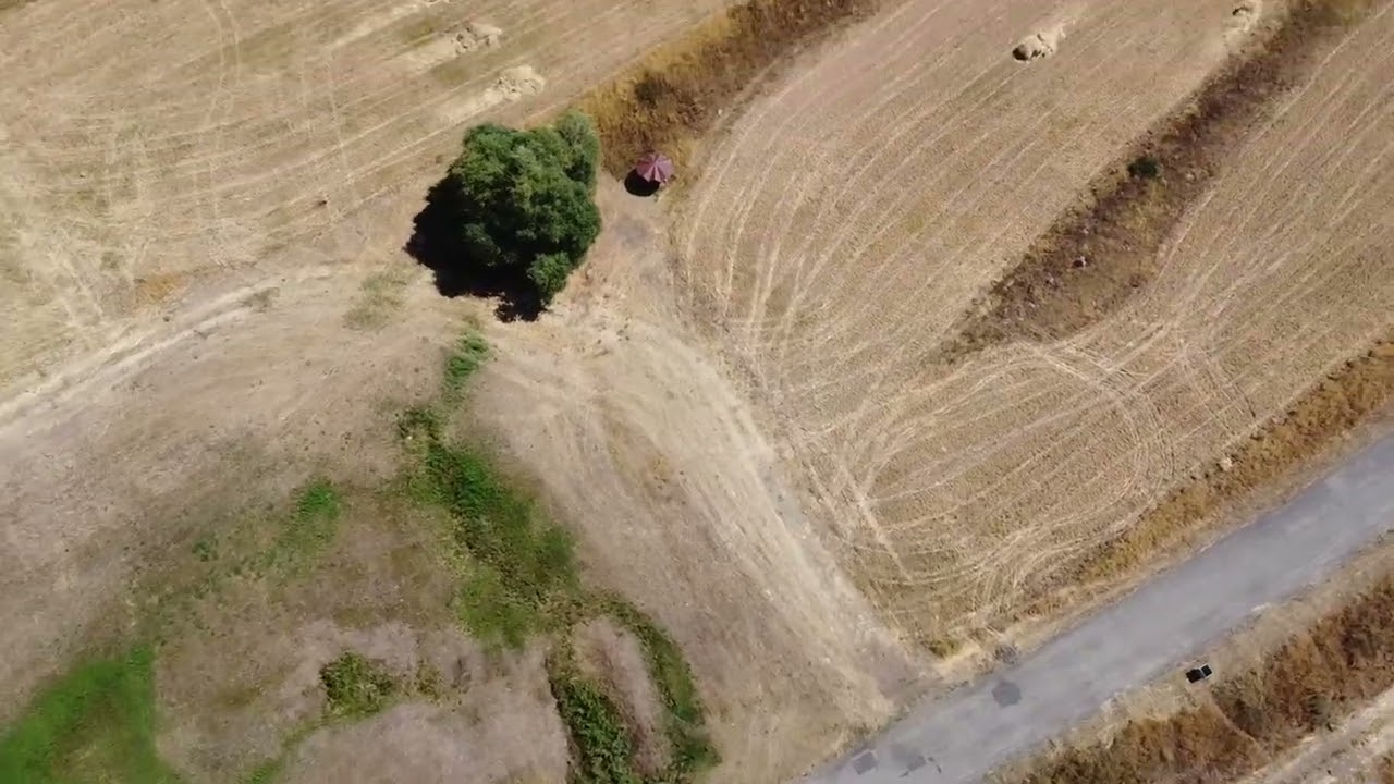 10 января 2026 г.