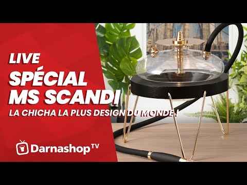 ? [ LIVE ] MS Scandi: La chicha la plus design de l'année scandaleusement belle!