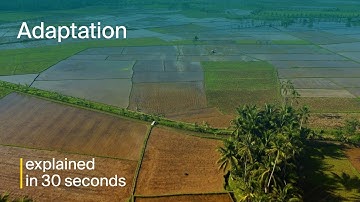 COP29 | Adaptation for climate resilience