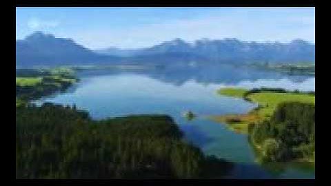 اذان يدخل القلب في جامع صادق الأمين القارئ جنكيز الصالحي