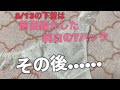 8/13下着紹介。前回紹介した純白のその後を紹介します！Nylon panties【愛用品】#20