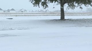 Locals Delight in Rare Snowfall in Lafayette Louisiana