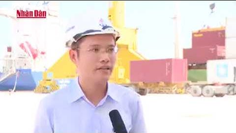 Bản tin về Tân Cảng Hải Phòng