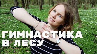 Упражнения при остеохондрозе /  Для гибкости всего тела / Для улучшения координации /Лес, пение птиц