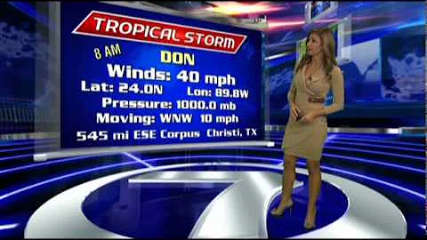 WSVN-TV 7NEWS Julie Durda tight Grey Dress