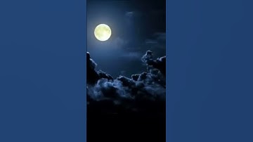سورة الإسراء لفضيلة الشيخ عبد المحسن القاسم