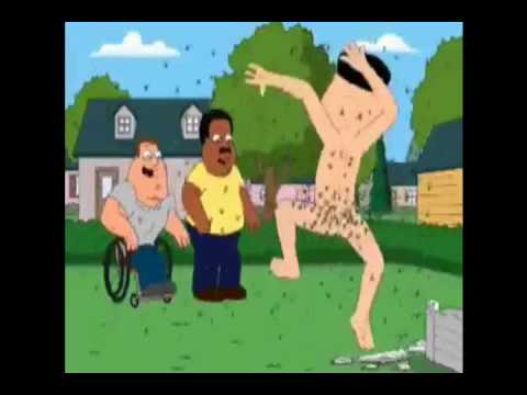 Family Guy's JACKASS