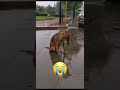 Este chico hizo una prueba increíble con sus patines.
