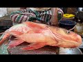 Incredible Big Bighead Fish Cutting By Expert Fish Cutter | Fish Cutting Skills