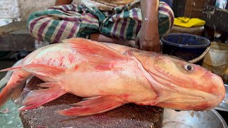 Incredible Big Bighead Fish Cutting By Expert Fish Cutter | Fish Cutting Skills