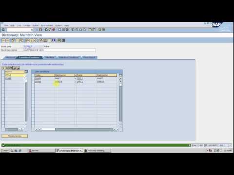 DATA DICTIONARY- VIEW- MAINTENANCE