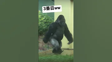 秒で笑えるww Shorts 