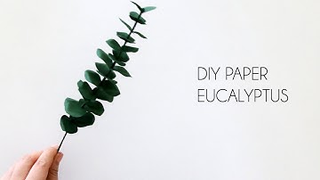 DIY How to make paper eucalyptus (paper flowers, silhouette cameo)