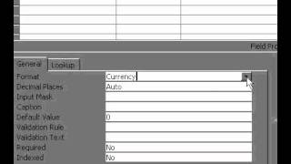 Microsoft Office Access 2000 Formatting a field