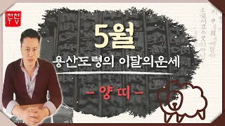 이달의운세▶양력5월 양띠운세 보고가세요▶#용산도령 010.9903.9635
