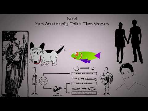 9 Reasons Why Men Are Likely To Die Before Women