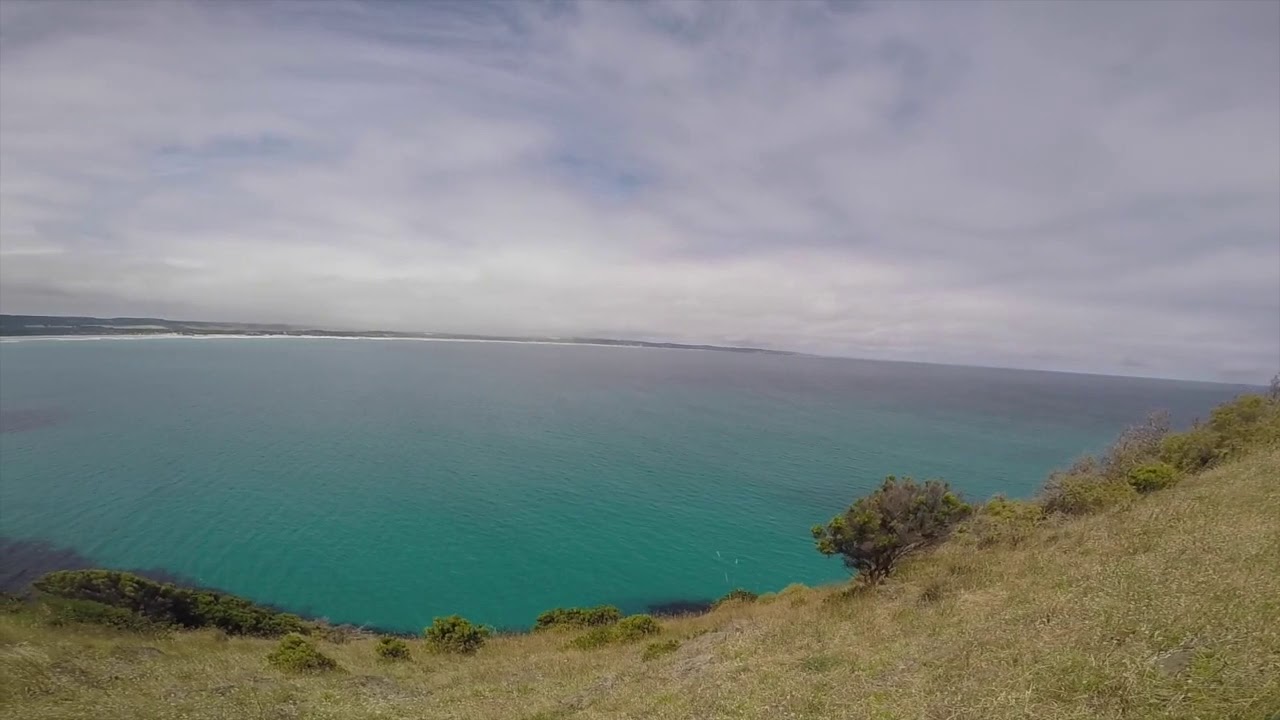 Seal Colony Cape Bridgewater Walkthrough