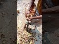 In this world of automation, it's deeply satisfying to see traditional methods come to life.