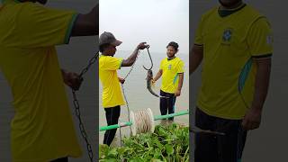 Teamwork Weight Test: Giant River Predator Landed on Heavy Rig Setup! #danialfishing