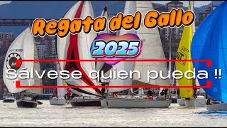 345# Sálvese quien pueda!! Regata del Gallo 2025