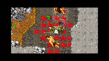 Tibia Pking on Rubera