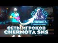 DOVASKA оценивает сеты игроков гильдии CHERNOTA SNS