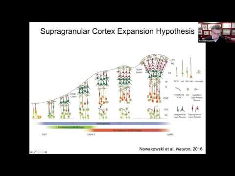 Untitled Seminar recording thumbnail