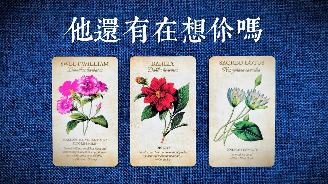 他還有在想你嗎？他還喜歡你嗎？噹下對你是什麽樣的情感？是非常頻繁的想你嗎   |斷聯|拉扯|卡頓|冷戰|塔羅占卜|