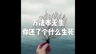 201609 万法本无生  你还了个什么生死22204