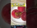 【ベイビー新幹線】Be my Babyの感じでBaby新幹線Baby新幹線
