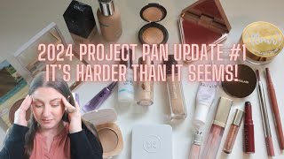 Project Pan 2024 Update #1 – This is hard & is it even worth it??