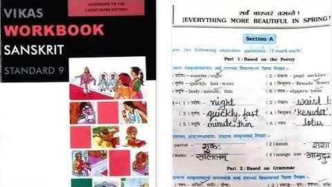 6. STD 9 VIKAS SANSKRIT WORKBOOK CHAPTER 6 सर्वं चारूतरं वसन्ते!