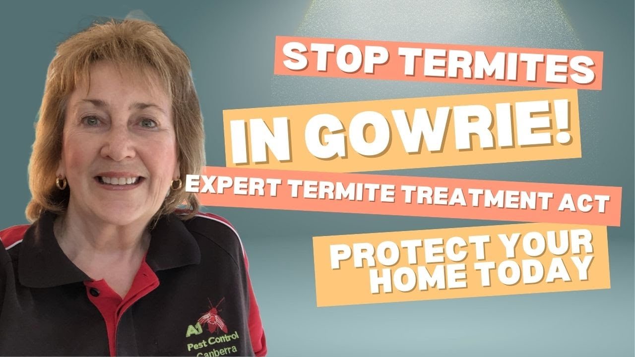 Gowrie ACT Termite Inspection & Treatment – Save Your Home Today