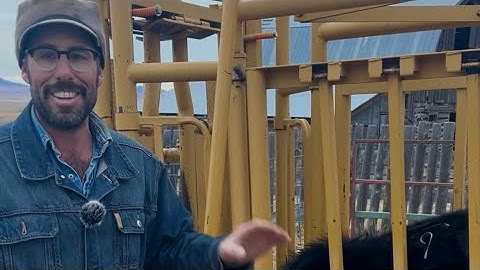 The best way to wean calves