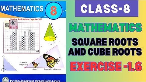 Math Class 8 | Unit 1 | Exercise 1.6 | Square Roots
