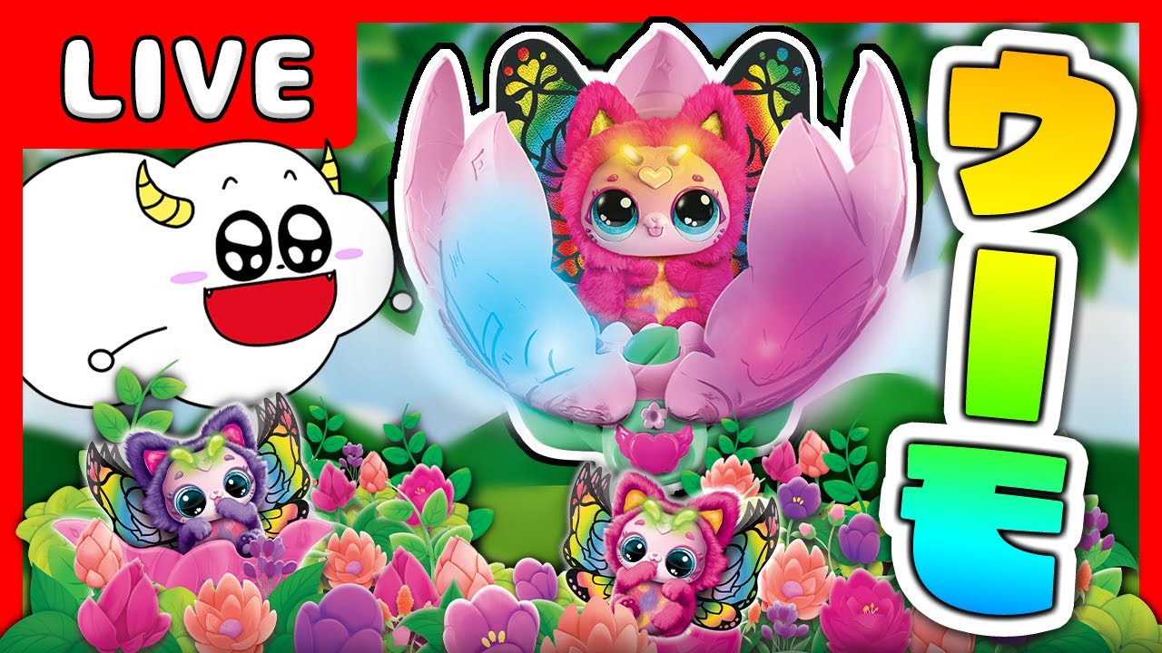 【LIVE】「うまれて!ウーモ」の新作おもちゃをくもりんといっしょに紹介！！★サンサンキッズTV★