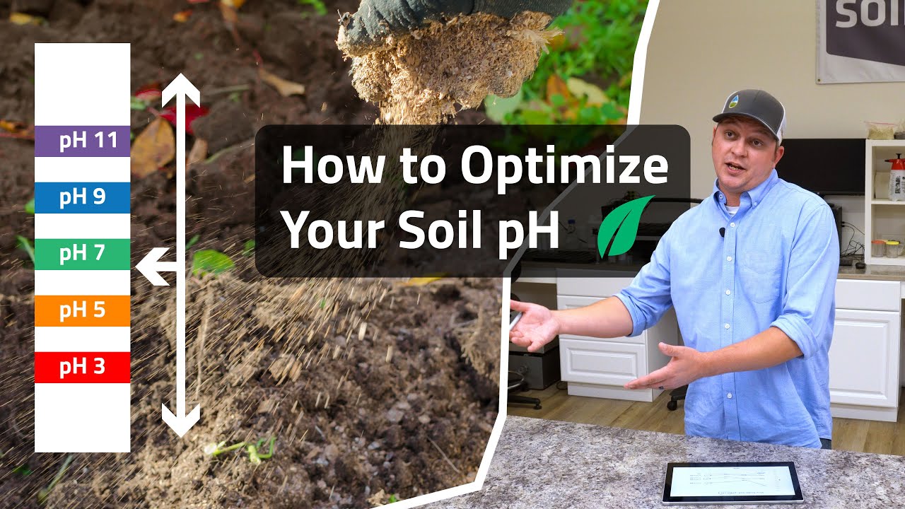 How To Correct Your Soil pH - YouTube