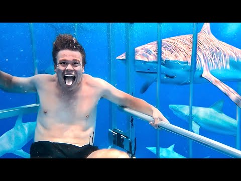 Trolling Sharks in Hawaii