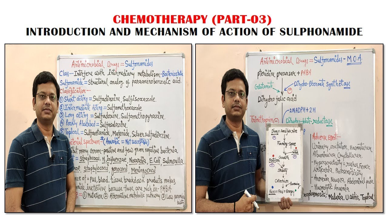 Chemotherapy of Antibiotics (Part-03) Sulfonamide Introduction & Mechanism of Action | Antibiotic