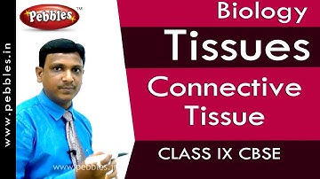 Connective Tissue : Tissues | Biology | Class 9 | CBSE