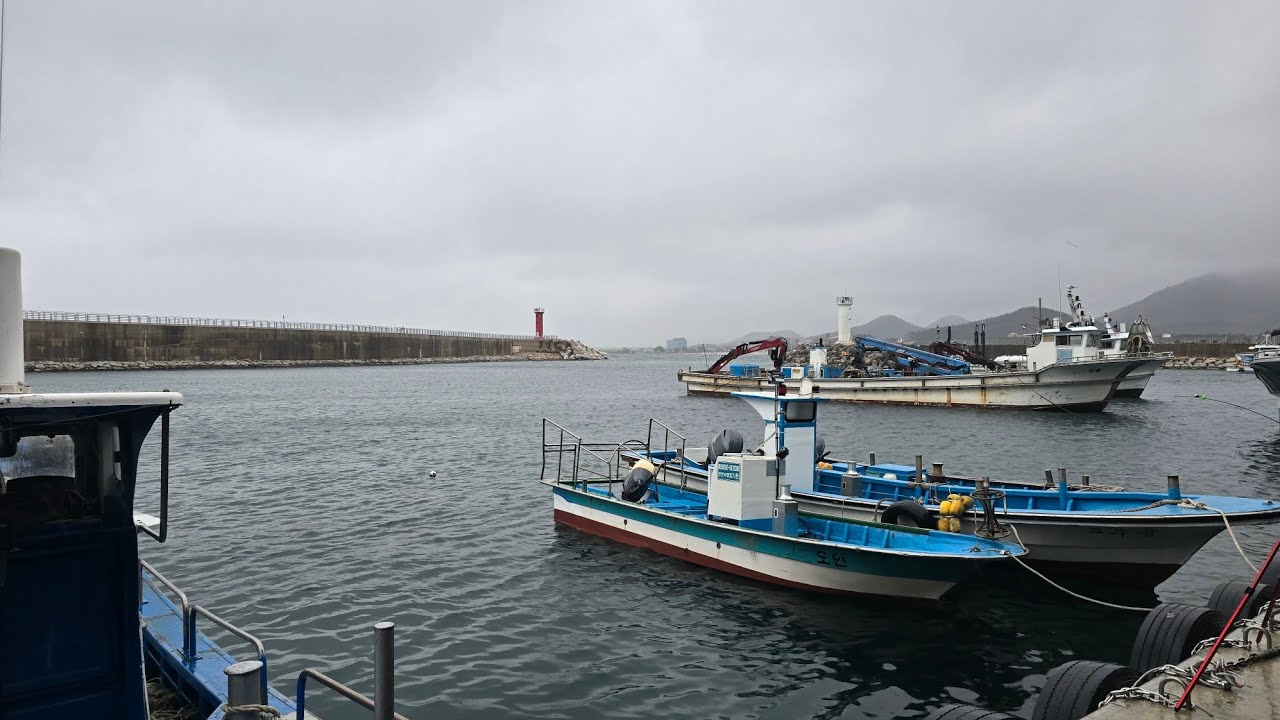 초사언니TV 라이브 /강원도 고성 / 가진항