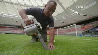 Getting the best of artificial turf