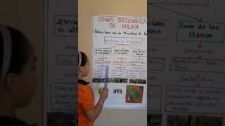 Zona geográfica de Bolivia, exposición primaria