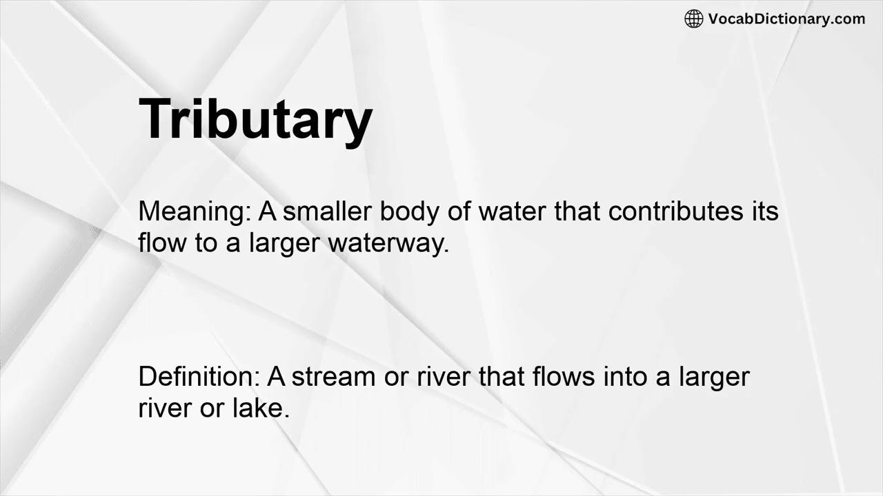 Tributary Meaning