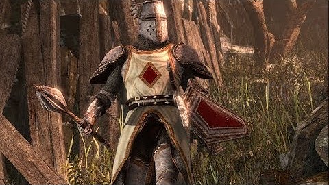 Oblivion remaster- The shrine of the crusader quest
