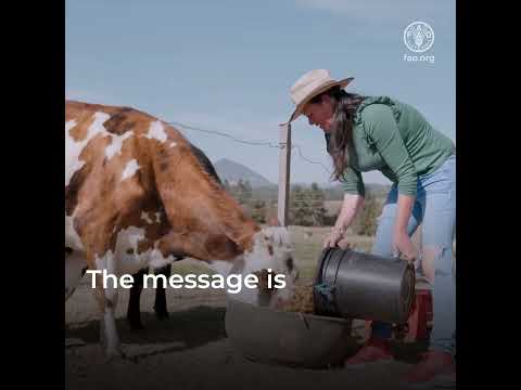 How women farmers are leading climate action: Lessons from the SCALA programme